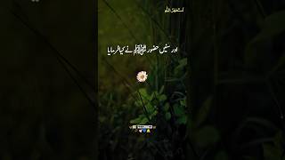 حضورﷺ نے اس شخص کو دعا دی جو😇Peer Ajmal Raza Qadri🤍viralshorts peerajmalrazaqadri uhproduction [upl. by Aneeres]