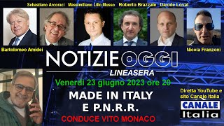 Made in Italy e PNRR  Notizie Oggi Lineasera  Canale Italia [upl. by Faus]