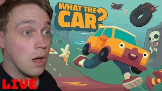 LIVE  BEARS CARS AND LEGS ALL YOU NEED WHAT THE CAR [upl. by Kablesh52]