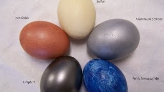 Eggs Dyed With Iron Aluminium Sulfur Graphite and Cyanide [upl. by Madelle]