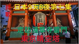 走訪淺草寺雷門、東京晴空塔之9天8夜自助旅行第七集 [upl. by Lebyram]