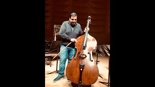 Maggini Doublebass  Dragonetti Waltz [upl. by Aivlis]