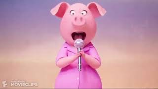 Sing 2016 Rosita sings Firework [upl. by Tireb964]