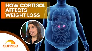 How to balance your cortisol to lose weight without exercise [upl. by Ennovy]