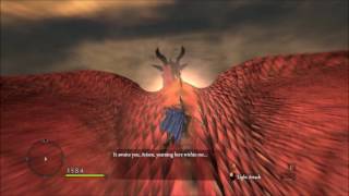 Dragons Dogma Dragon Fight Final Boss [upl. by Sopher690]