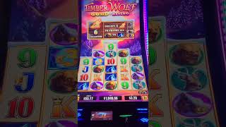 WOW Crazy Slot Jackpot winstar shorts [upl. by Georges]