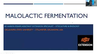 Malolactic Fermentation [upl. by Attesor]