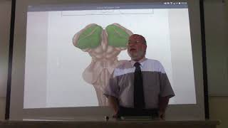 Neuroanatomy 76  Diencephalon  part 1   by Dr Wahdan [upl. by Marcelia994]