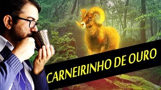 Carneirinho de Ouro  Verdade ou Mentira 16 [upl. by Areic]