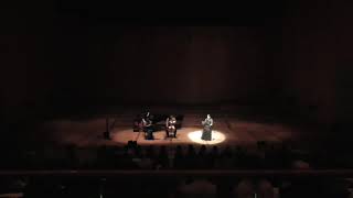 セロ弾きのゴーシュ（初演）Gauche the cellist 作曲 南木千絵 二胡 杉原圭子 チェロ 山本善哉 ピアノ 田井かおり 語り・ソプラノ 片山映子 語り 藤田武士 [upl. by Latyrc]