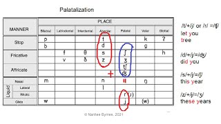 Palatalization in English [upl. by Sells]