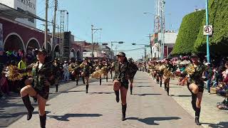 Lo mejor del desfile 20 de noviembre [upl. by Adnowal591]