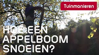 De appelboom snoeien hoe doe je dat  Herfst  Tuinmanieren [upl. by Ruthanne318]