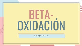 ✅BETAOXIDACIÓN  ACTIVACIÓN Ruta Rendimiento ENERGÉTICO REGULACIÓN Fácil Explicación Lípidos [upl. by Aihcrop303]