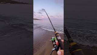 10GR Jig ile LRF Avı 🎣 fishing fishingvideo fish fishinglife lrf spiningfishing shimano [upl. by Behrens]