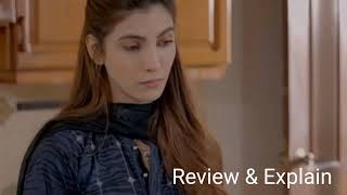 Ishq Ho Gya Episode 18  Pakistani Drama Review  11th November 2024 [upl. by Scopp]