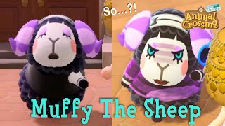 Muffy The Sisterly Sheep Animal Crossing New Horizons ACNH [upl. by Adnoral]