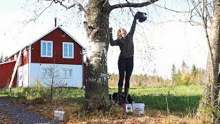 An Autumn Day In Rural Sweden [upl. by Nylaret495]