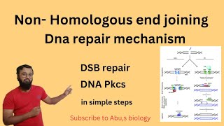 Non Homologous end joining  Dna repair mechanism NHEJ  DSB repair dnarepair [upl. by Port]