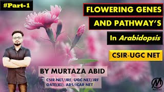 Flower Development Genes And Pathways in Arabidopsis thaliana  CSIRNET ICMR DBT Gate MSc [upl. by Laflam]