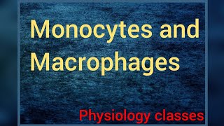 Monocytes and Macrophages  In hindi  Physiology classes [upl. by Laefar]