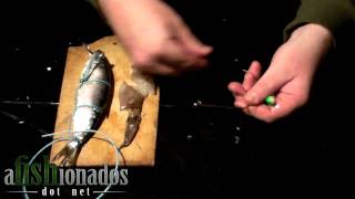 HowTo Rigging a Herring and Squid Combo for Pacific Halibut [upl. by Ettezus]