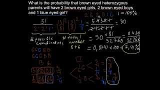 Genetics and law of probability how to solve problems using factorial method [upl. by Nita282]