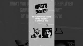 TI  What You Know Whats The Sample [upl. by Nyllaf]