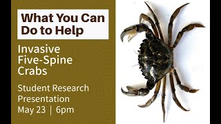 Southwestern student research presentation “Invasive FiveSpine Crabs What You Can Do to Help” [upl. by Loux]