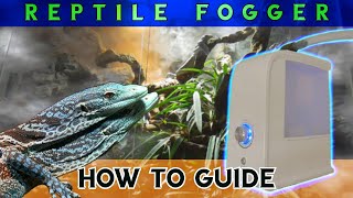 The complete Reptile Fogger DIY guide – what you need to know [upl. by Einnos]