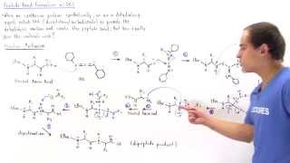 Peptide Bond Formation with DCC [upl. by Tonneson935]