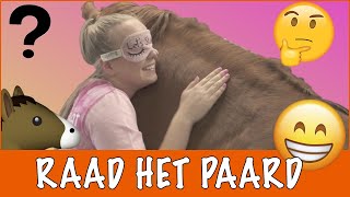 Geblinddoekt paarden raden  PaardenpraatTV [upl. by Ingra]