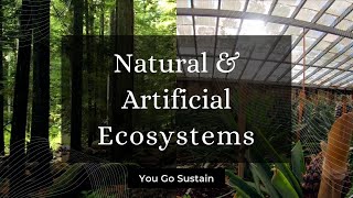 Natural Ecosystems and Artificial Ecosystems [upl. by Aryas]