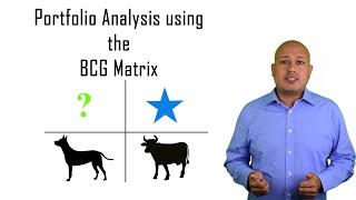 How to Invest – The BCG Matrix [upl. by Qifahs207]