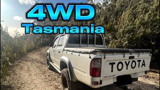 4wd in cradoc Tasmania [upl. by Eisyak673]