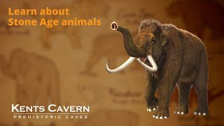 Learn about Stone Age animals [upl. by Anceline188]