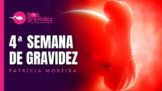 4 SEMANAS DE GRAVIDEZ  Gravidez Semana a Semana Atualizada [upl. by Herv]