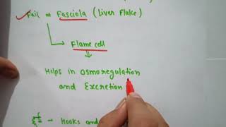 Trick for Platyhelminthes and Aschelminthes examples  Easy trick  Best trick animalkingdom neet [upl. by Kimble]