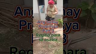 Regalo para sa asawa  ang buhay probinsya part 3 [upl. by Kacey593]