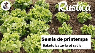 Semer de la salade et des radis en place au printemps [upl. by Welbie]