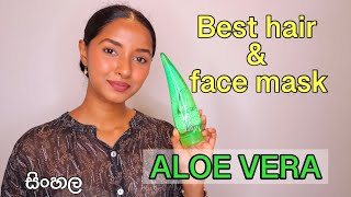 Fresh Aloe Vera for Skin Discover the Magic with 3 Homemade Recipes Radiant Glow  Dr Hansaji [upl. by Akinahc]