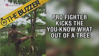 Pro fighter Tiffany “TimeBomb” Van Soest kicks the crap out of a tree  TheBuzzer  FOX SPORTS [upl. by Yroffej547]