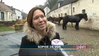 Auderghem  le site du RougeCloître débute enfin ses rénovations [upl. by Colis]