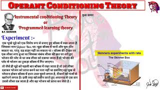 Operant Conditioning Theory by BF Skinner [upl. by Murphy]