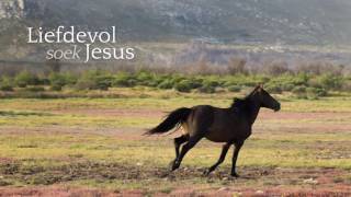 Liefdevol soek Jesus na my [upl. by Nnylak]