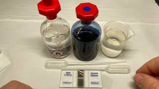 Haemocytometer and Serial Dilution [upl. by Chapen]