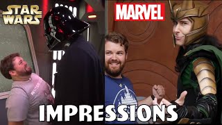 Disney Parks Impressions Star Wars and Marvel Compilation [upl. by Barde]