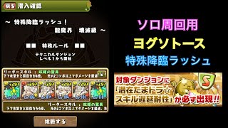 【パズドラ】スキル遅延耐性たまドラ ソロ周回 特殊降臨ラッシュ【ヨグソトース】 PUZZLE amp DRAGONS [upl. by Elatnahs]