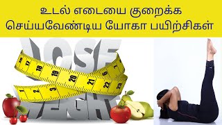 Yoga For Full Body Weight Loss  20 Mins yoga For obesity in Tamil By DrLakshmi Andiappan [upl. by Dnomzed]