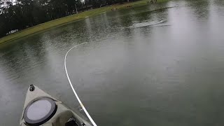 Catching fish in drained lake [upl. by Jeremias]